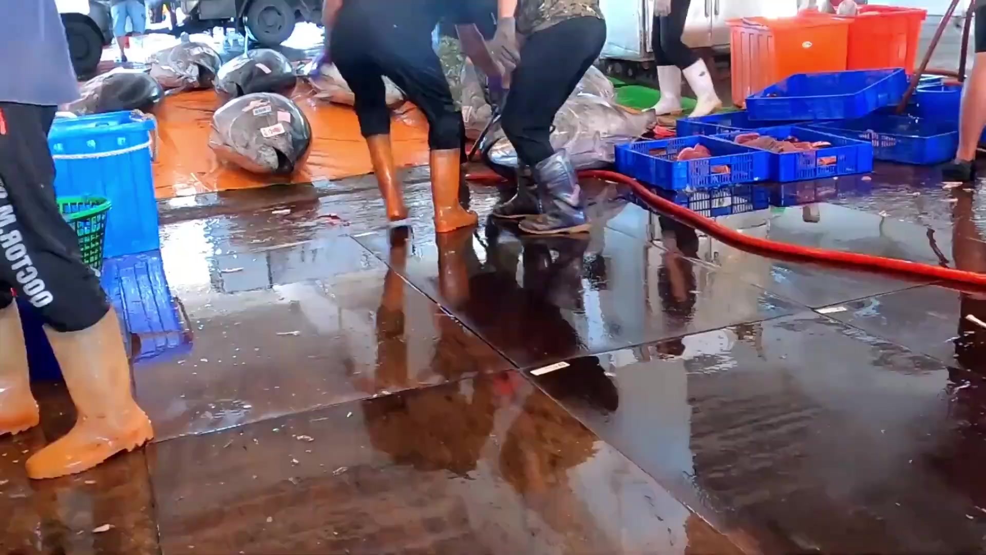 宰杀900斤鱼王，价值几十万的蓝鳍金枪鱼被切割分块，手法很快