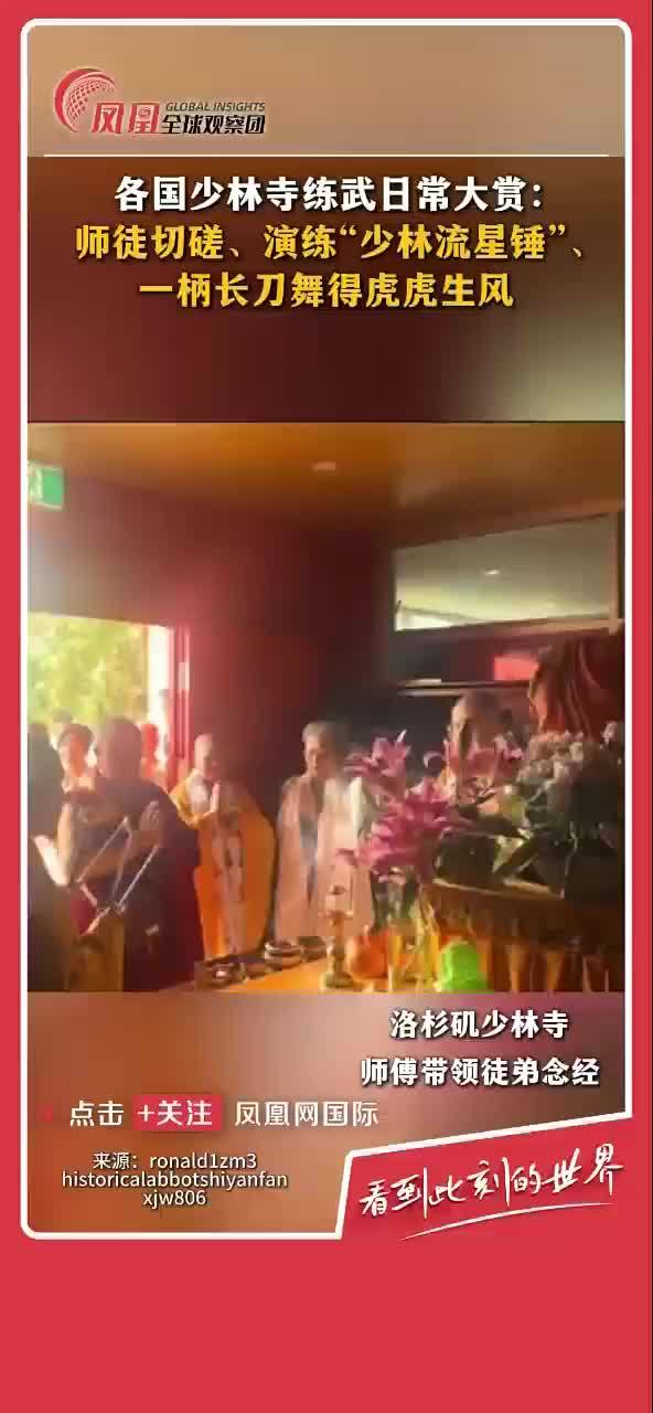 不同国家的少林寺如何练武功？真是各有特色。#少林寺 #文化