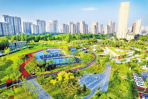 7月23日，市民在凤翔海绵主题公园运动休闲。 刘维峰摄