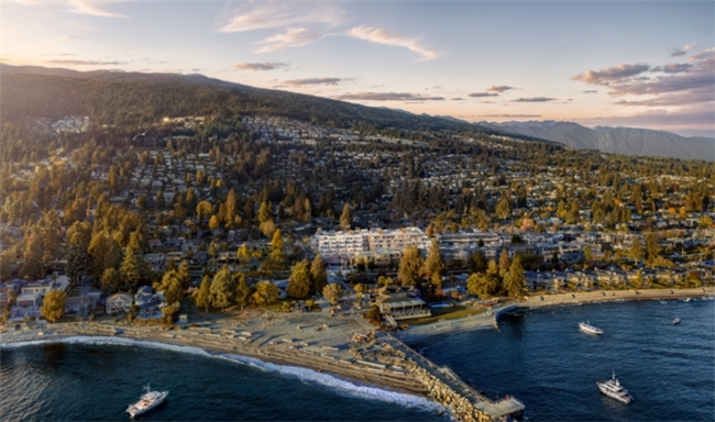 点击查看原始图片