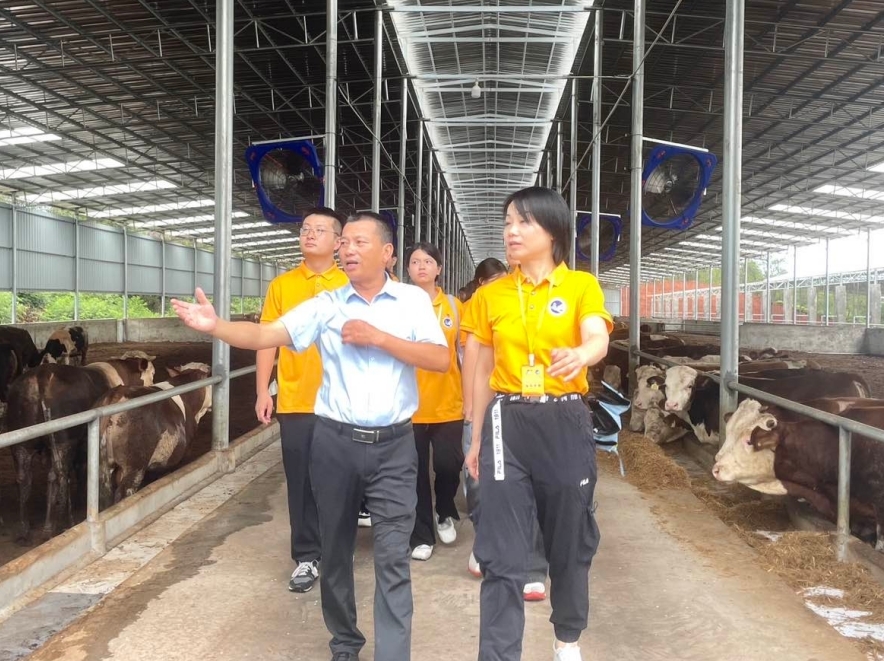 江西旅游商贸职业学院“小桑叶”实践队：青春足迹印红土 实践赋能促振兴