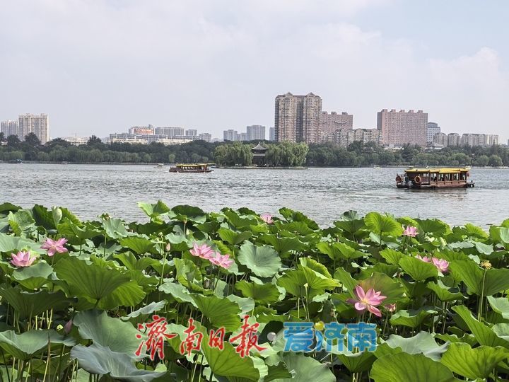 雨后济南大明湖美如画，水天共色游船穿梭