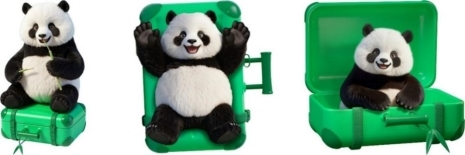 点击查看原始图片