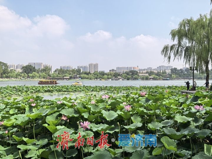 雨后济南大明湖美如画，水天共色游船穿梭