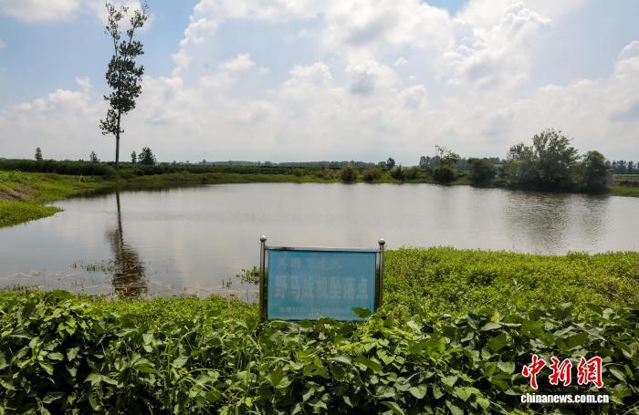 湖北有个飞虎队村