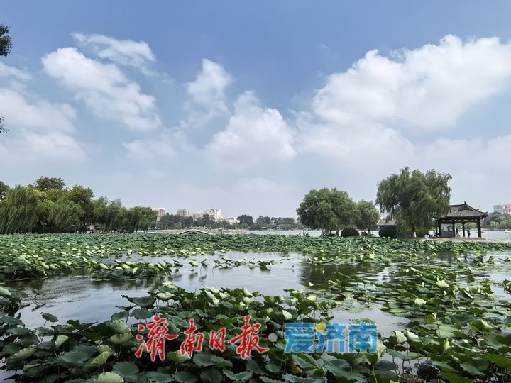 雨后济南大明湖美如画，水天共色游船穿梭