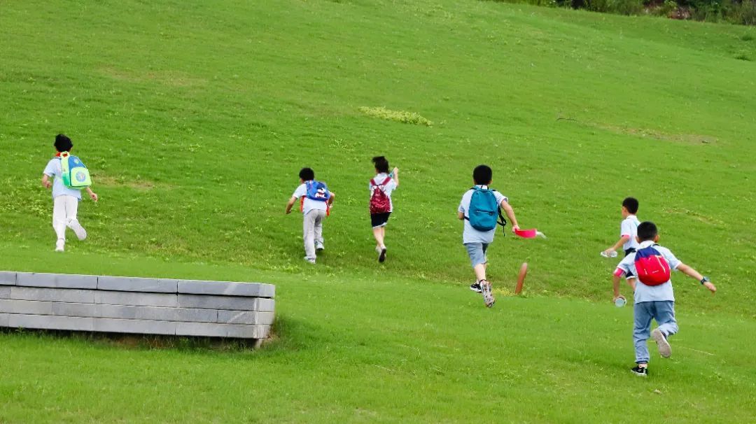 建邺高新区“四点半课堂”：五年暑托路，从托管刚需到成长生态的民生答卷