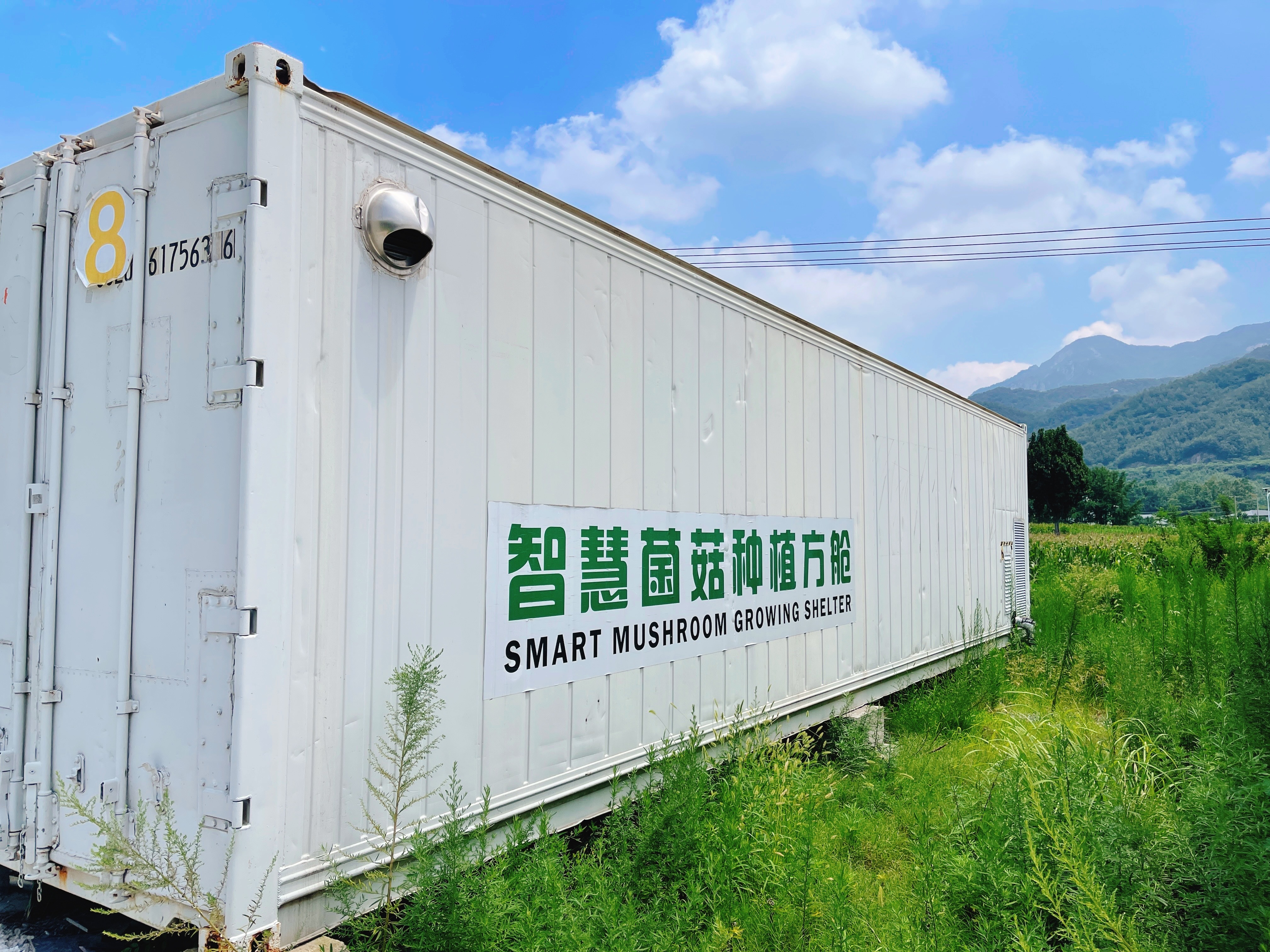 河南鲁山:菌菇飘香蜂蜜甜 和美宜居合庄村