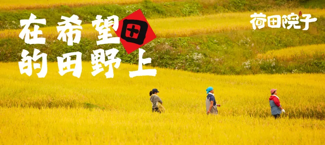 标题字(从上至下):字魂漫画家、字魂神话手书、字魂沙漠邮局体