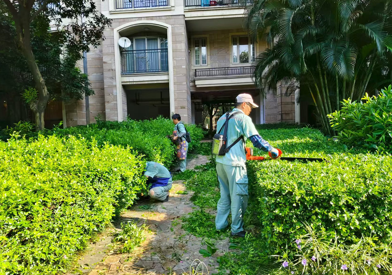 防疫不力，扣分整改！禅城区住建水务局抓实物业行业防疫工作