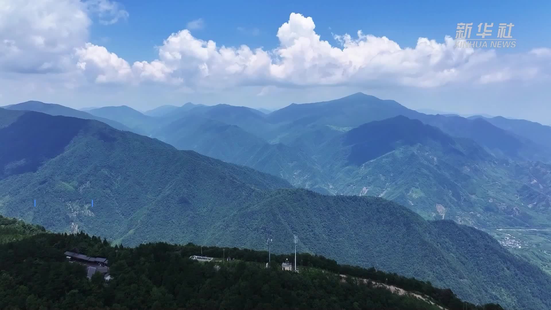 天目山：绿动心弦 夏日里的避暑胜地