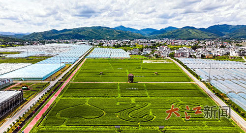 7月11日，航拍下的于都县梓山镇富硒蔬菜产业园。 江西日报全媒体记者 张翰林摄