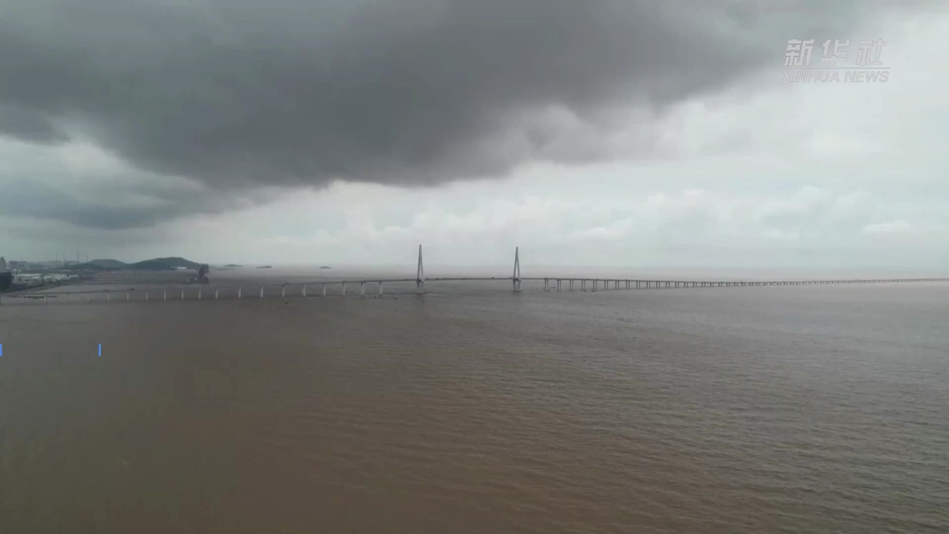 浙江嘉兴：多措并举防御台风“竹节草”