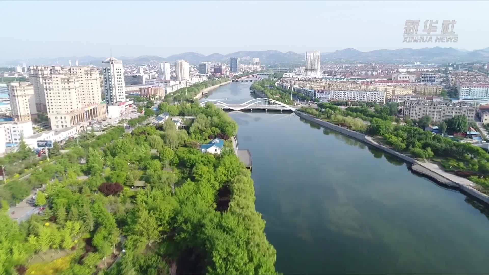 山东淄博：公益课堂破解暑期“带娃难”