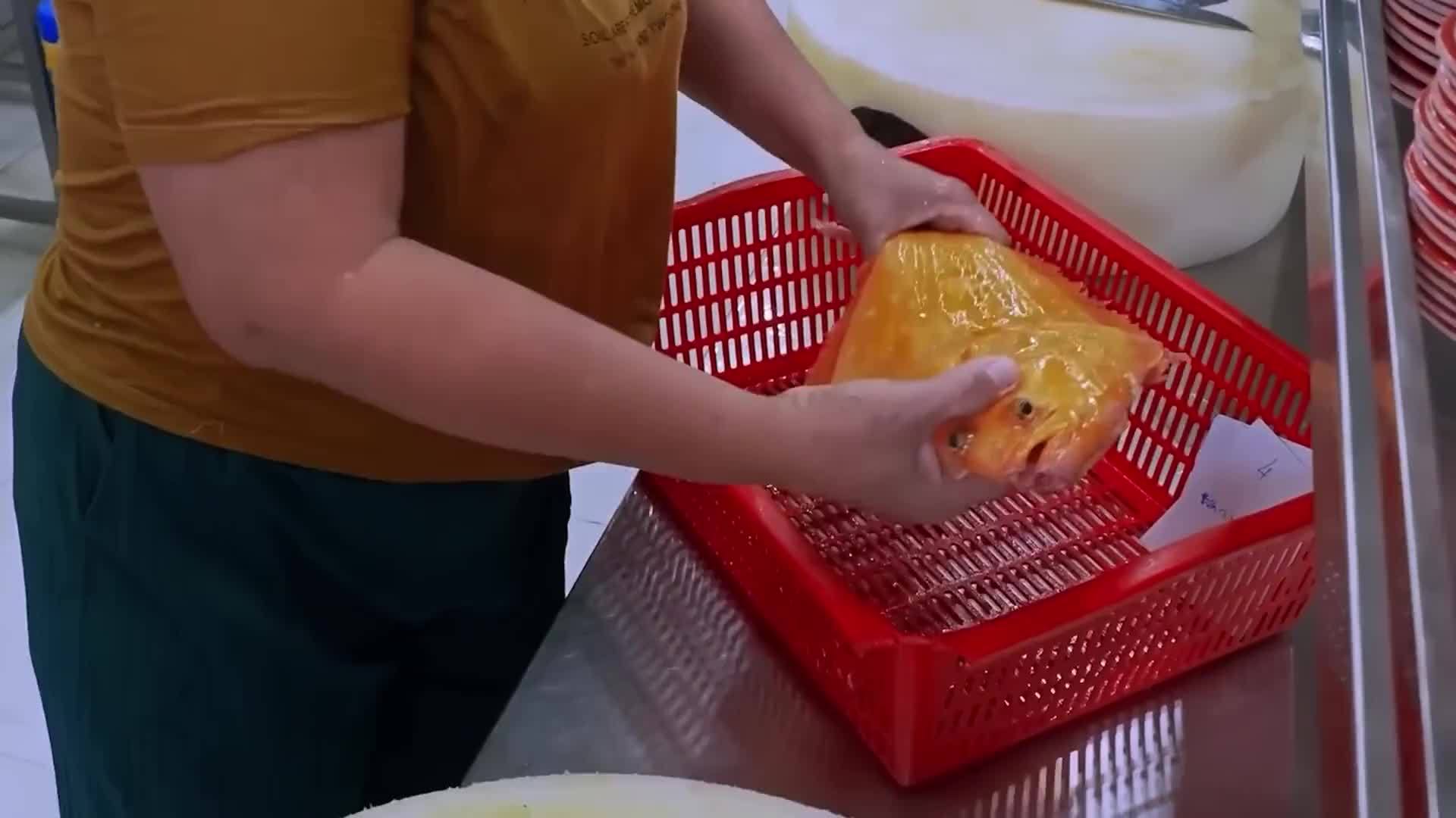 切割越南黄金比目鱼做生鱼片，据说这鱼老贵了