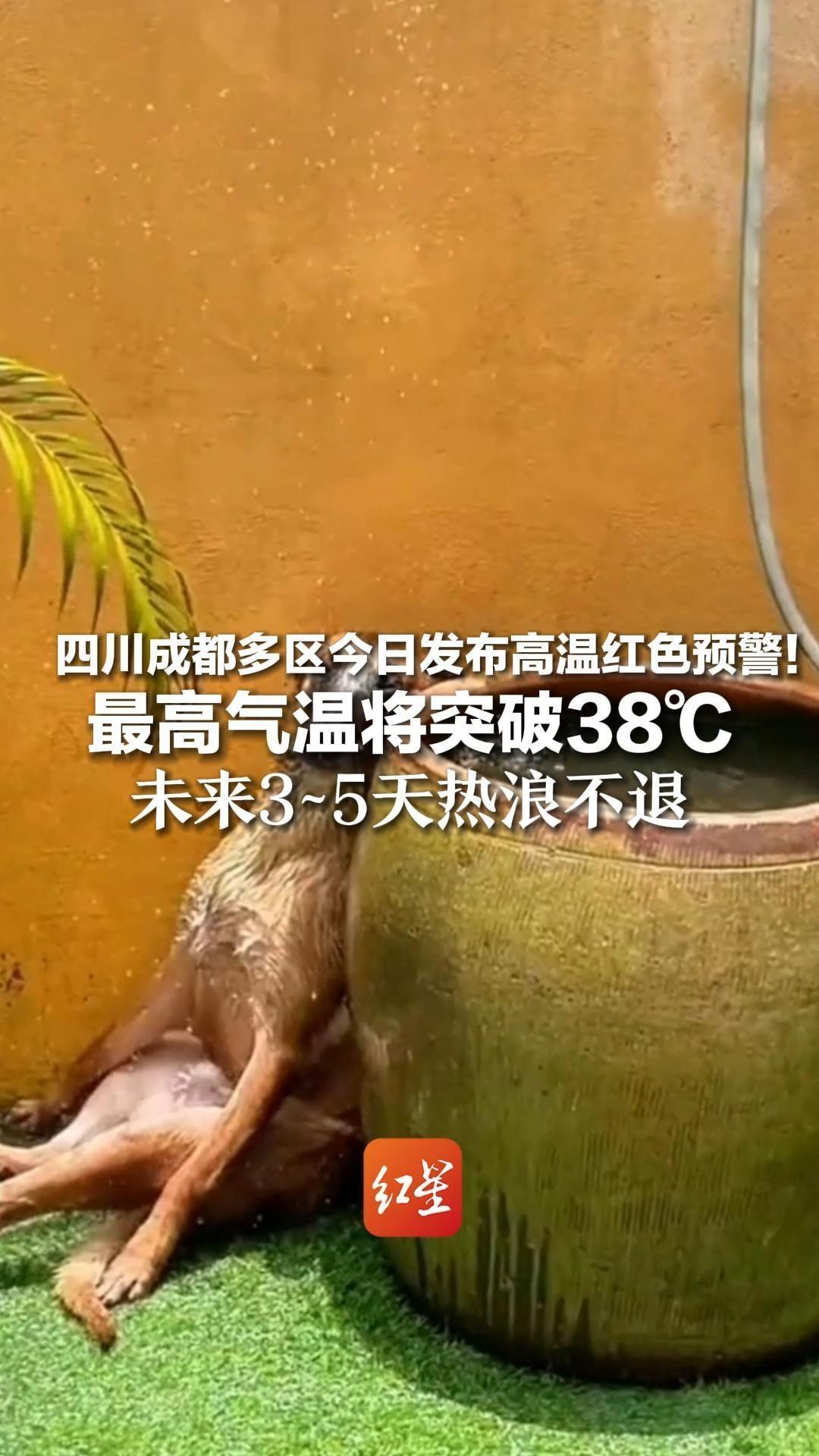 四川成都多区今日发布高温红警！最高气温将突破38℃   未来3~5天热浪不退 注意防晒！降温！解暑