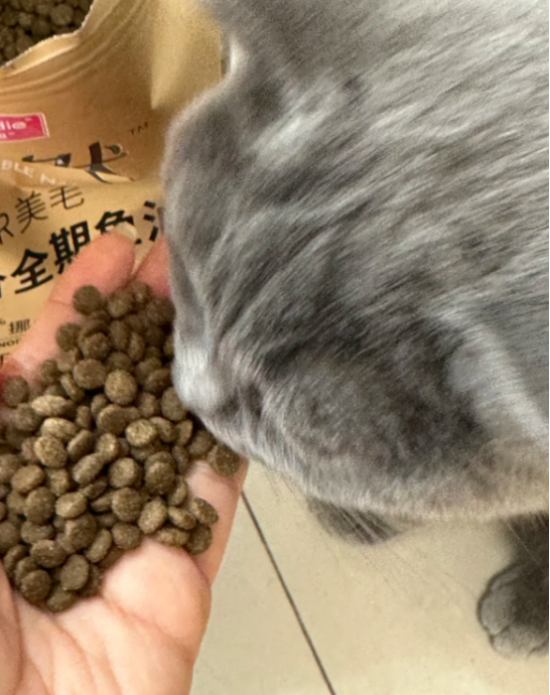 点击查看原始图片