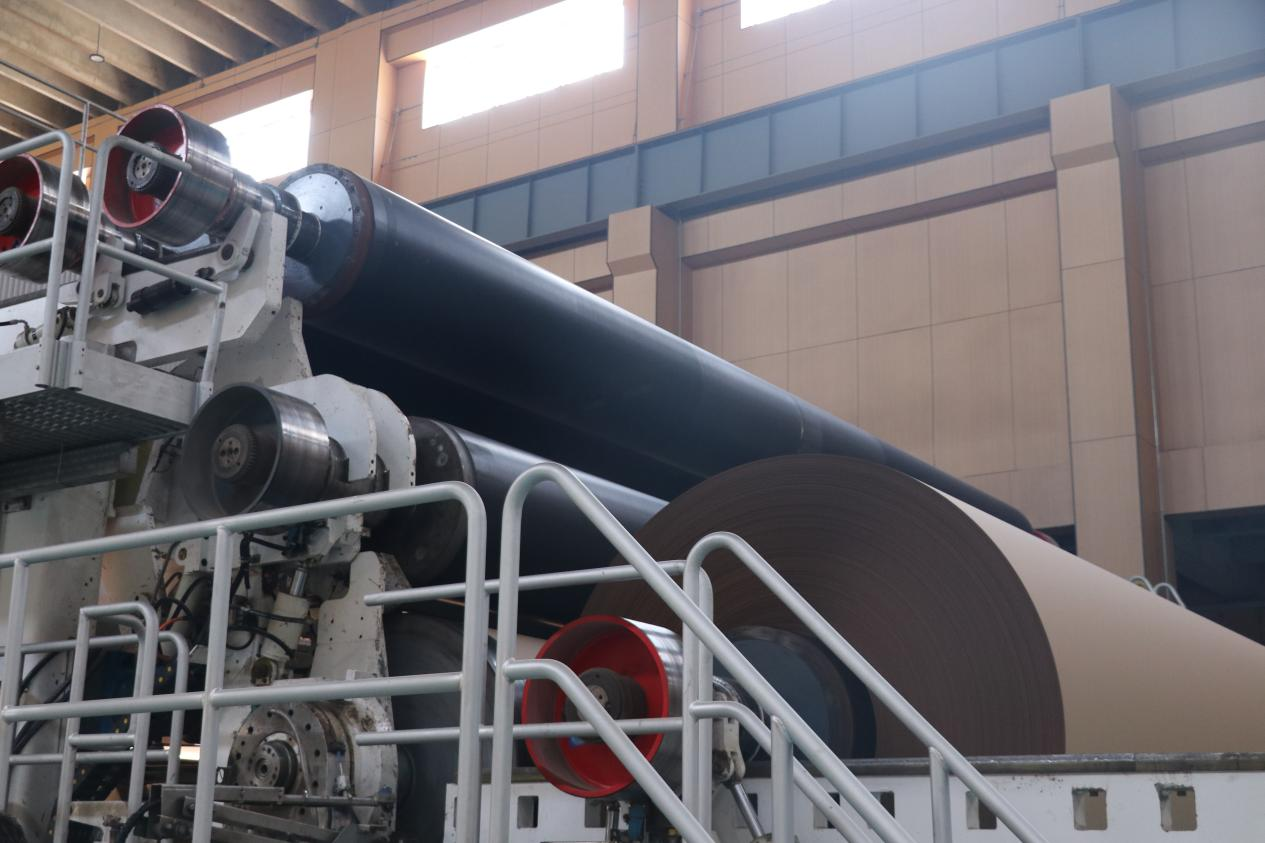 一“纸”落定孝感汉川 一家龙头激活一条链