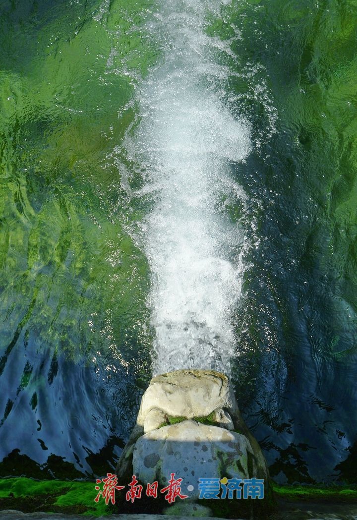 一年四季 泉在济南丨8连涨！黑虎泉水位达到今年最高值