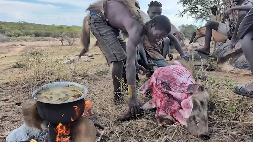 探索哈扎比部落丛林狩猎和野外烹饪，享受野生动物带来的美味