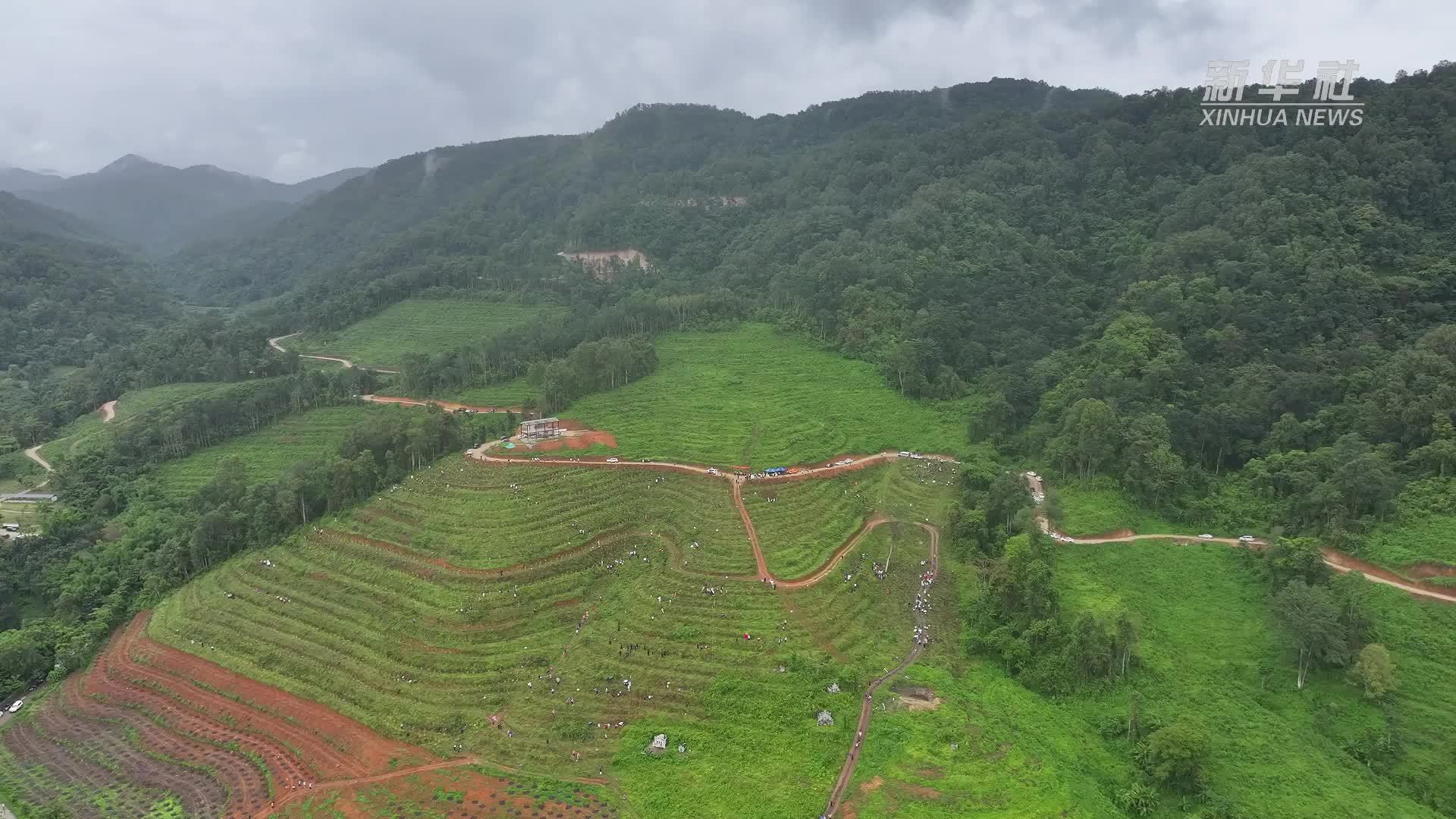 云南瑞丽：种质资源库建设提速 打造滇西生物宝库