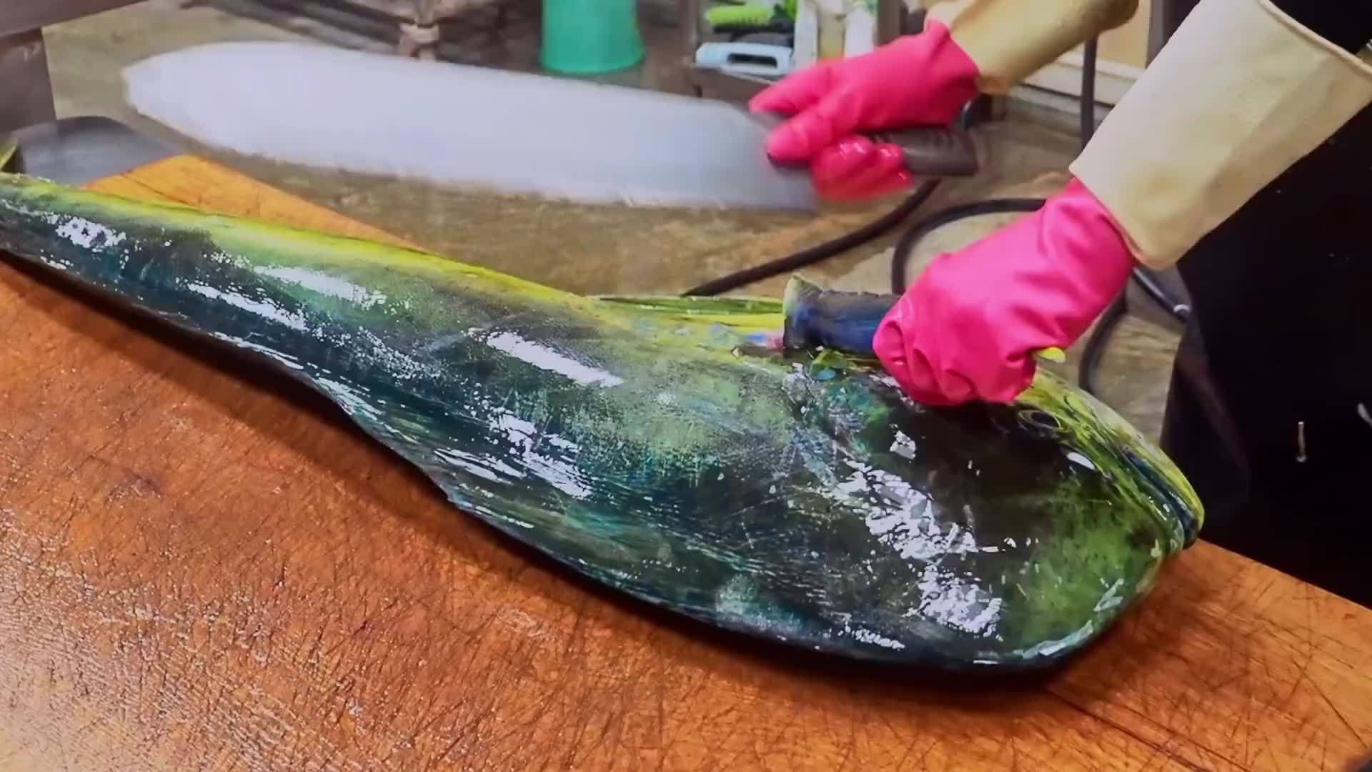 台湾大厨切割巨型鬼头刀鱼，这鱼真是头一次见