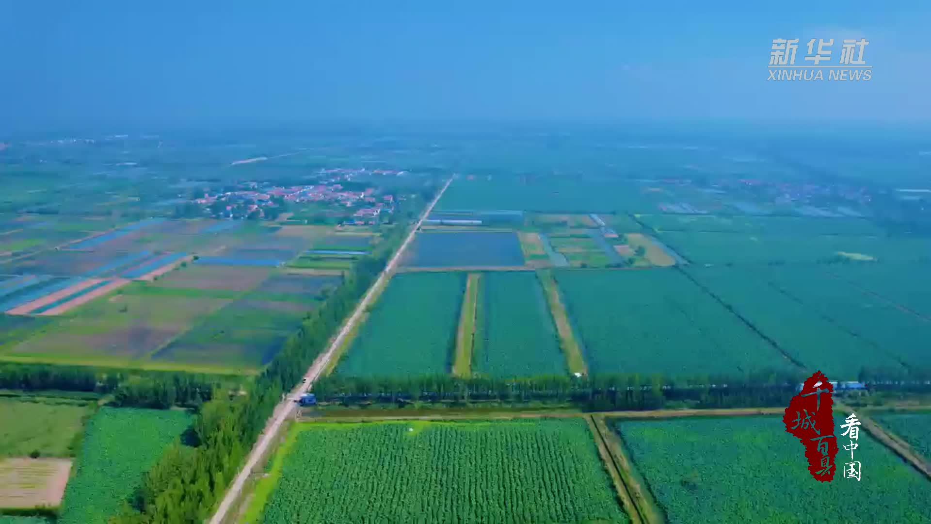千城百县看中国｜山东济宁：荷香遍野莲藕丰