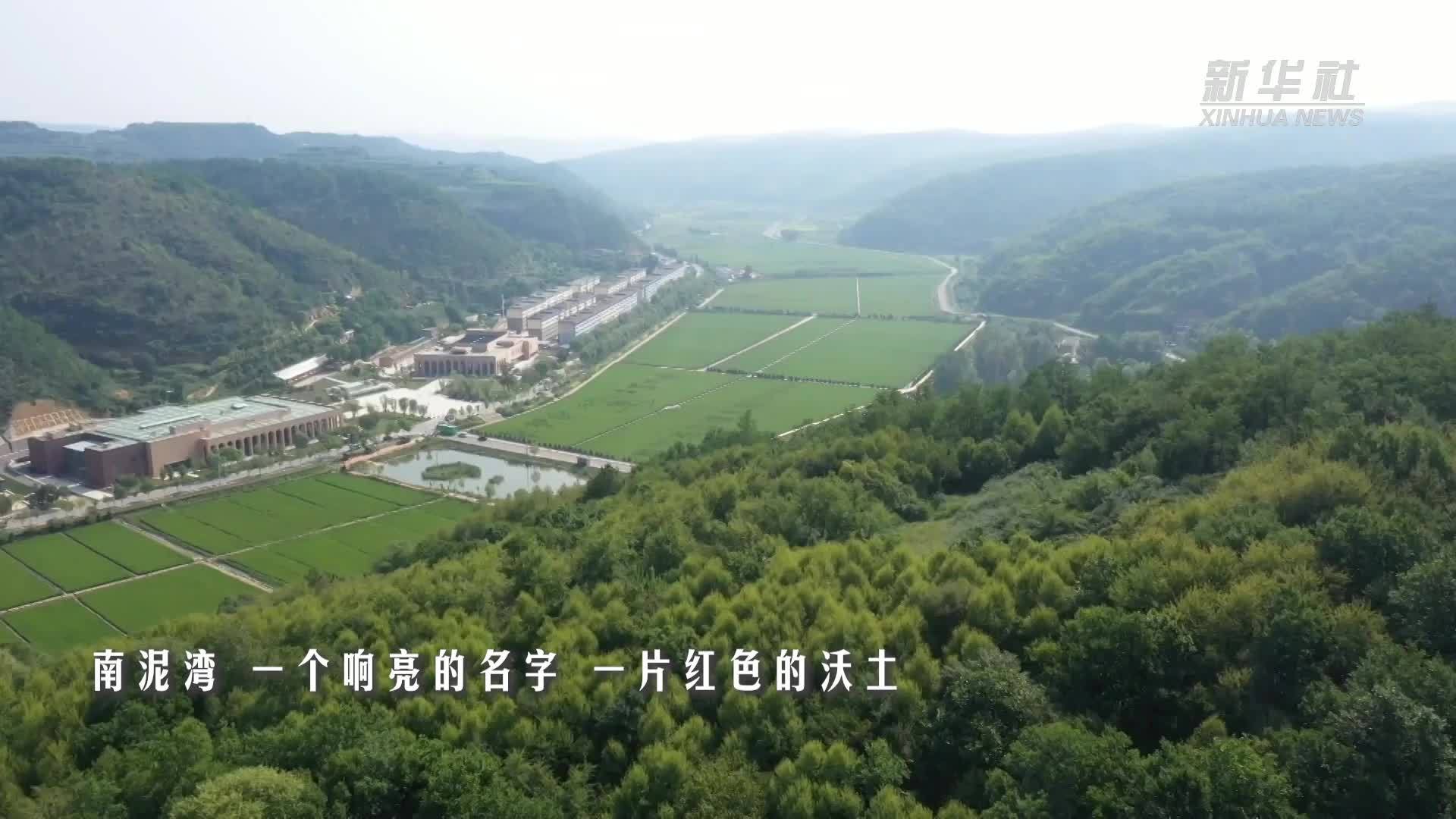 铭记历史 缅怀先烈｜南泥湾精神传承不息