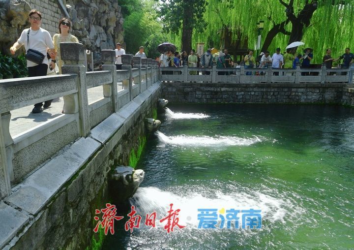 一年四季 泉在济南丨8连涨！黑虎泉水位达到今年最高值