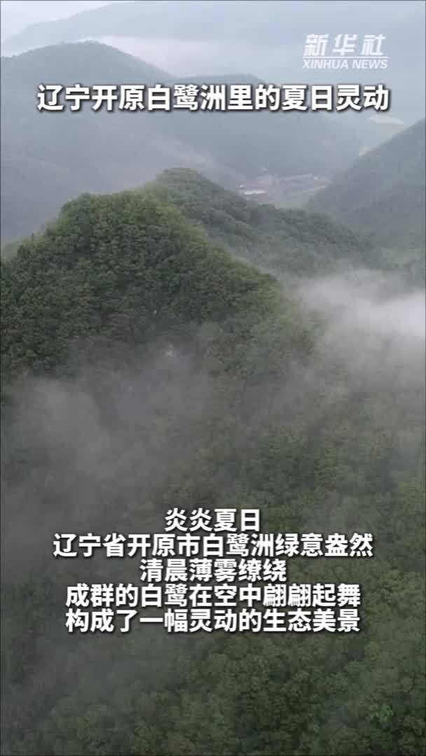 秀我中国｜辽宁开原白鹭洲里的夏日灵动