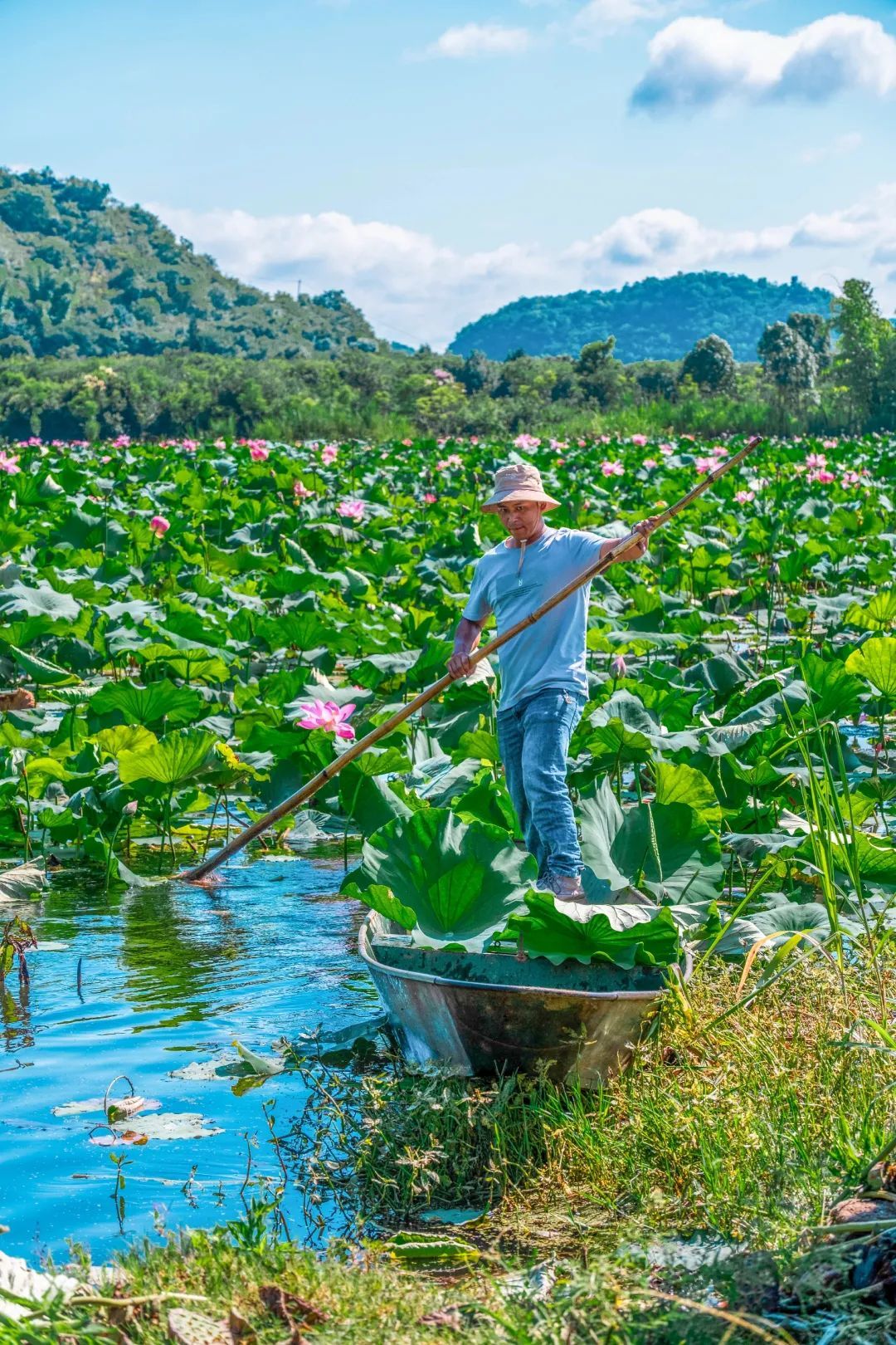 均温20℃的冷门避暑地,夏日风景美到封神