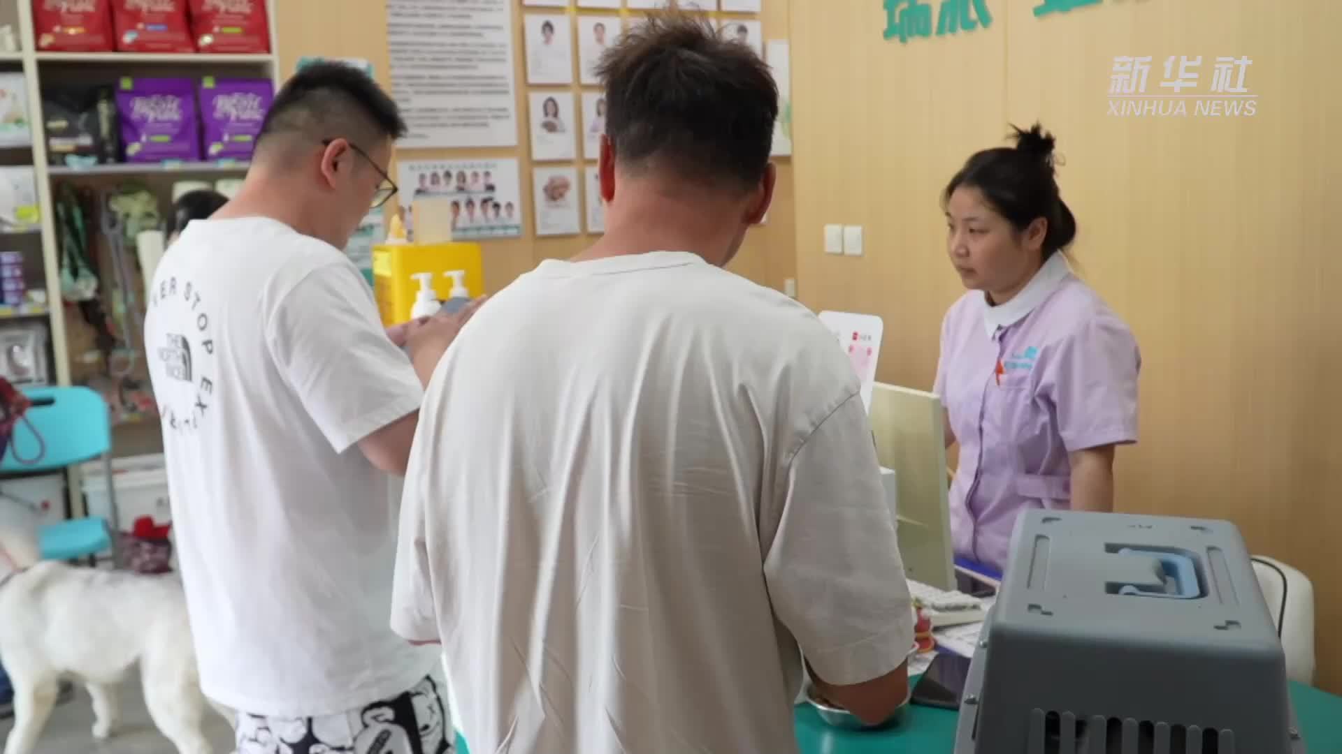 经济政策一线微观察｜精细养宠渐成潮流 夏日宠物经济持续升温