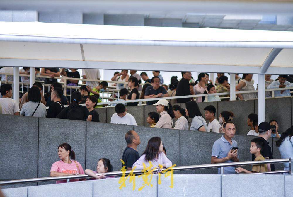 山东博物馆暑期现“文化春运”