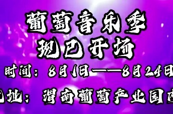 2025年渭南第六届葡萄音乐季暨美食游乐嘉年华盛大开幕