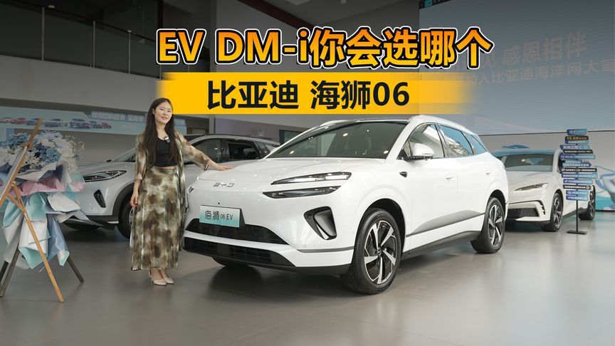 EV DM-i你会选哪个 ？比亚迪海狮06