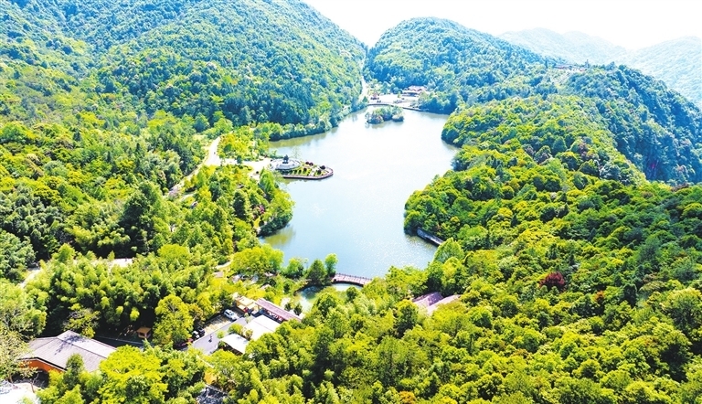 绿意盎然的三百山。