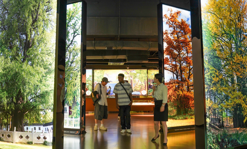 发现徐州之美：读懂邳州“文化密码”，从史前文明到时代新歌