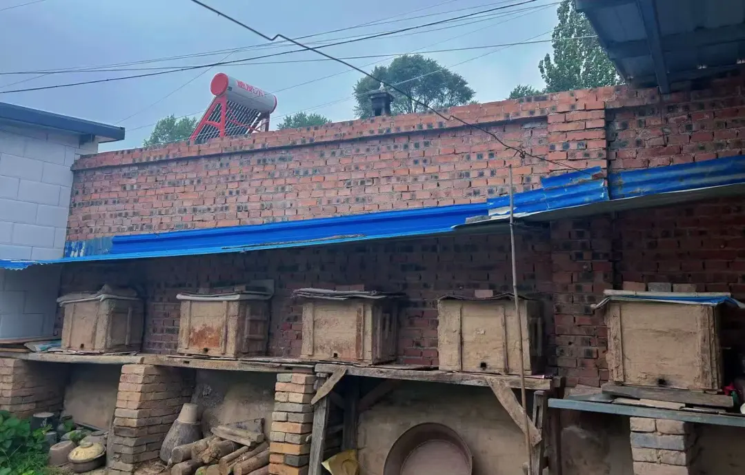 一年四季时鲜供应不断　华亭庭院经济有看头更有赚头