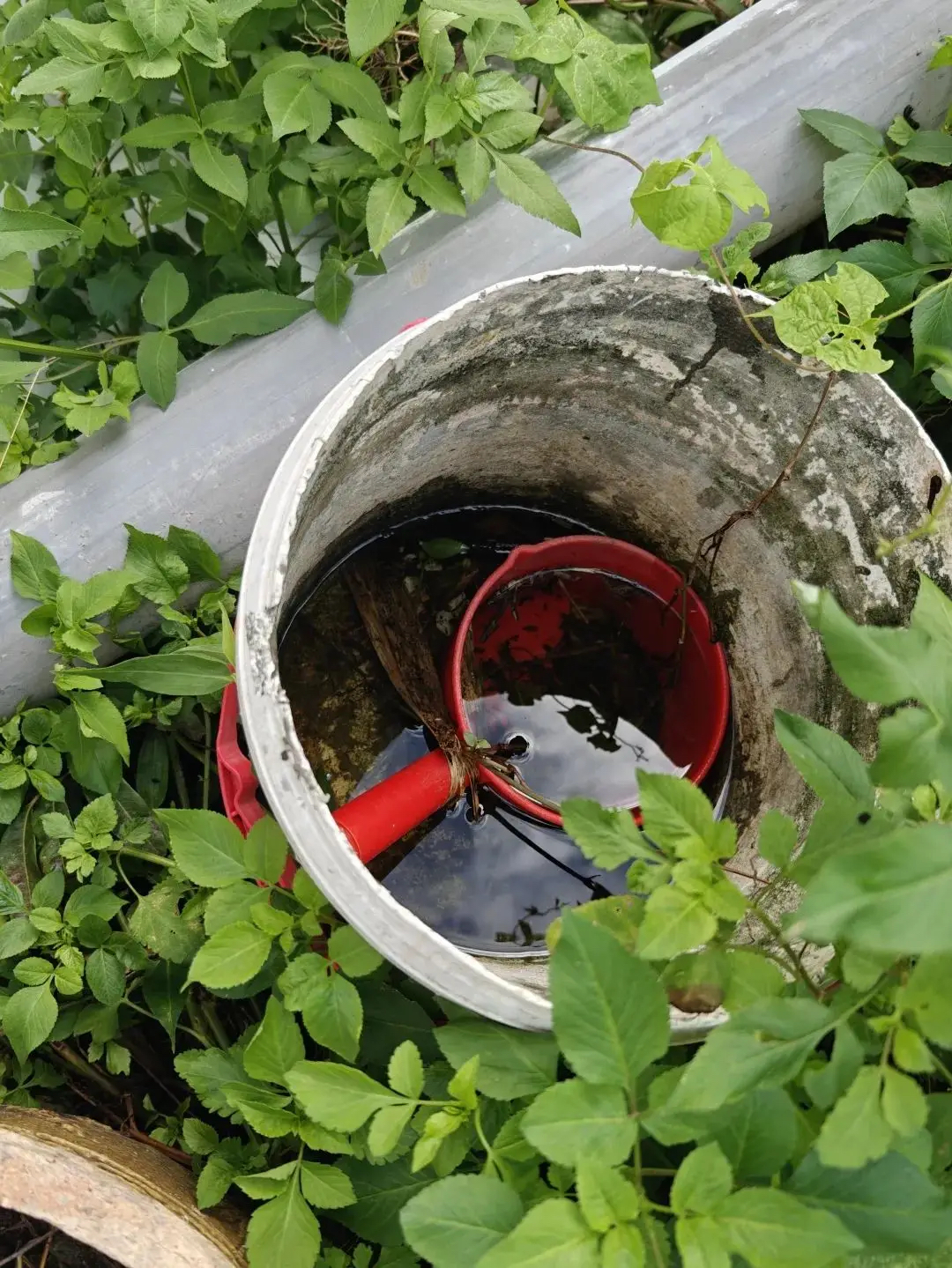 深圳疾控上线蚊媒传染病检测点地图 全市611家医疗机构一键导航,助力早诊早治