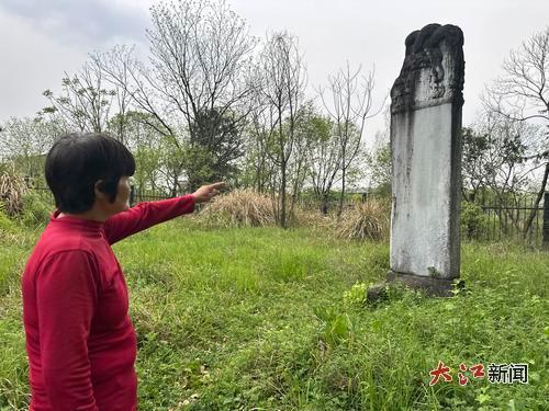 夏国泰妻子表示全村只有夏言父亲夏鼎墓存留。