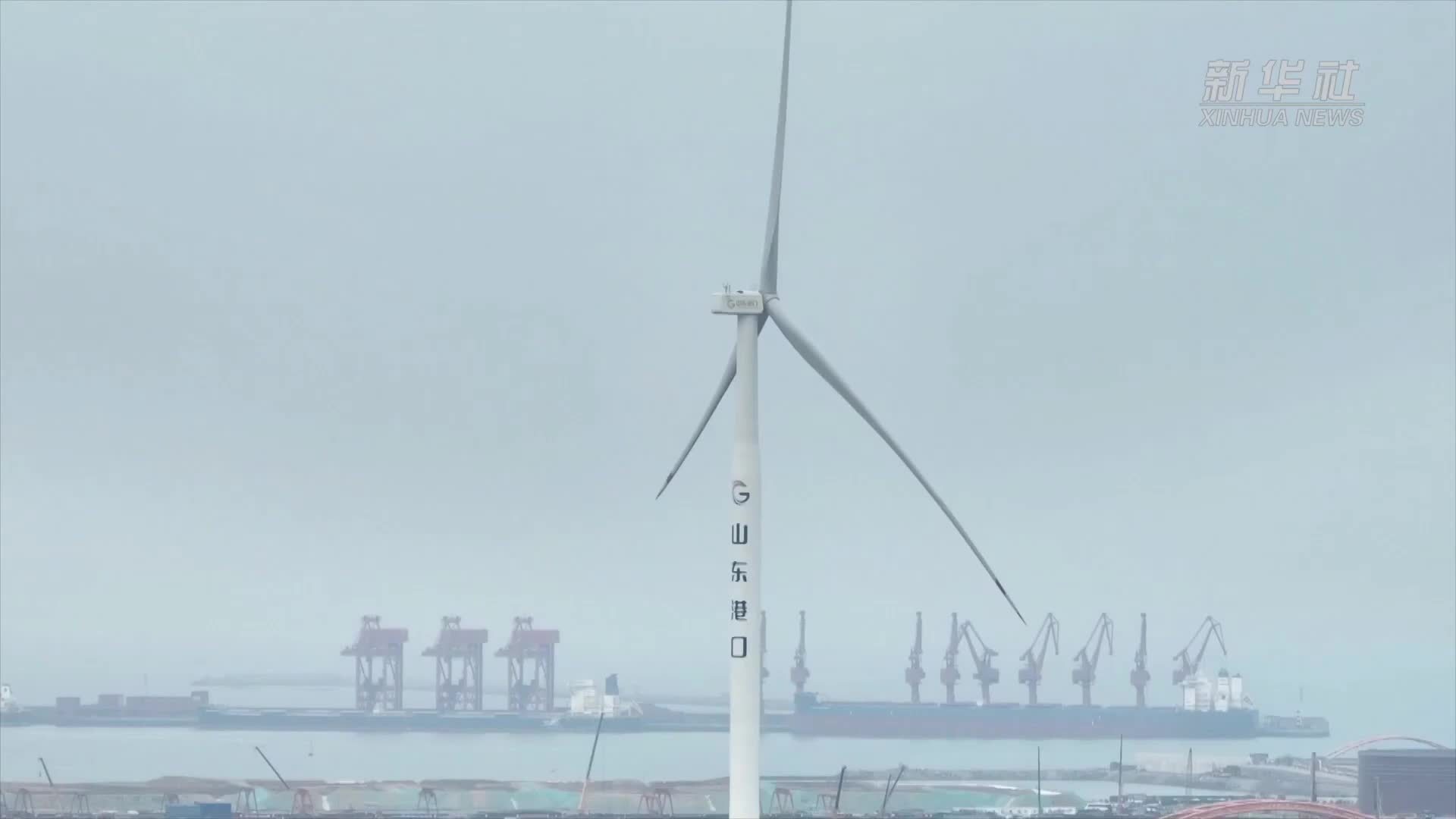 山东港口日照港：“借风发电”加速绿色低碳转型