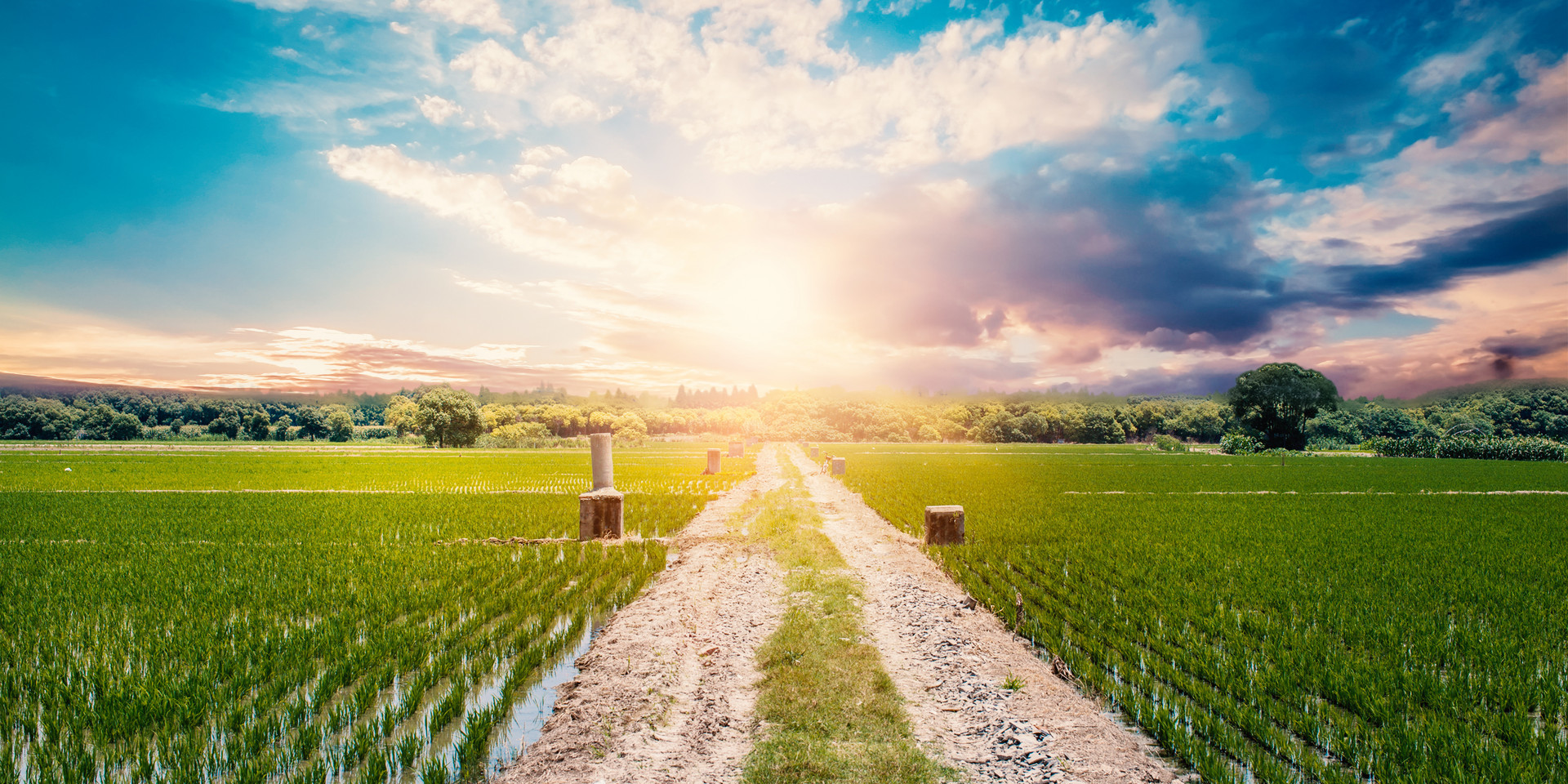 全域发力 城阳区高品质打造都市现代型乡村振兴片区