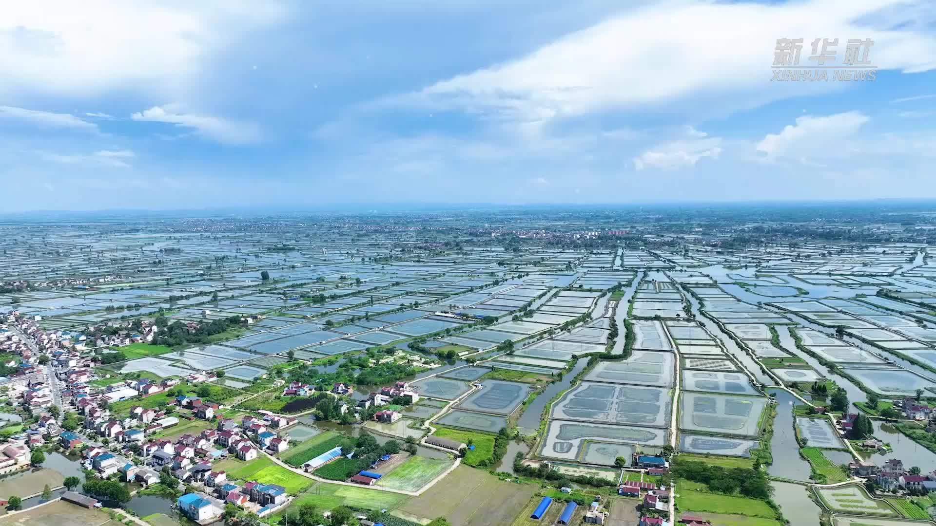 “兵支书”的直播间