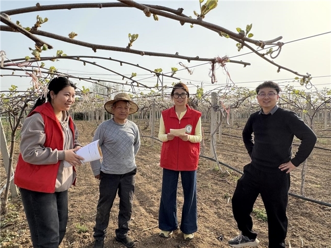 点击查看原始图片