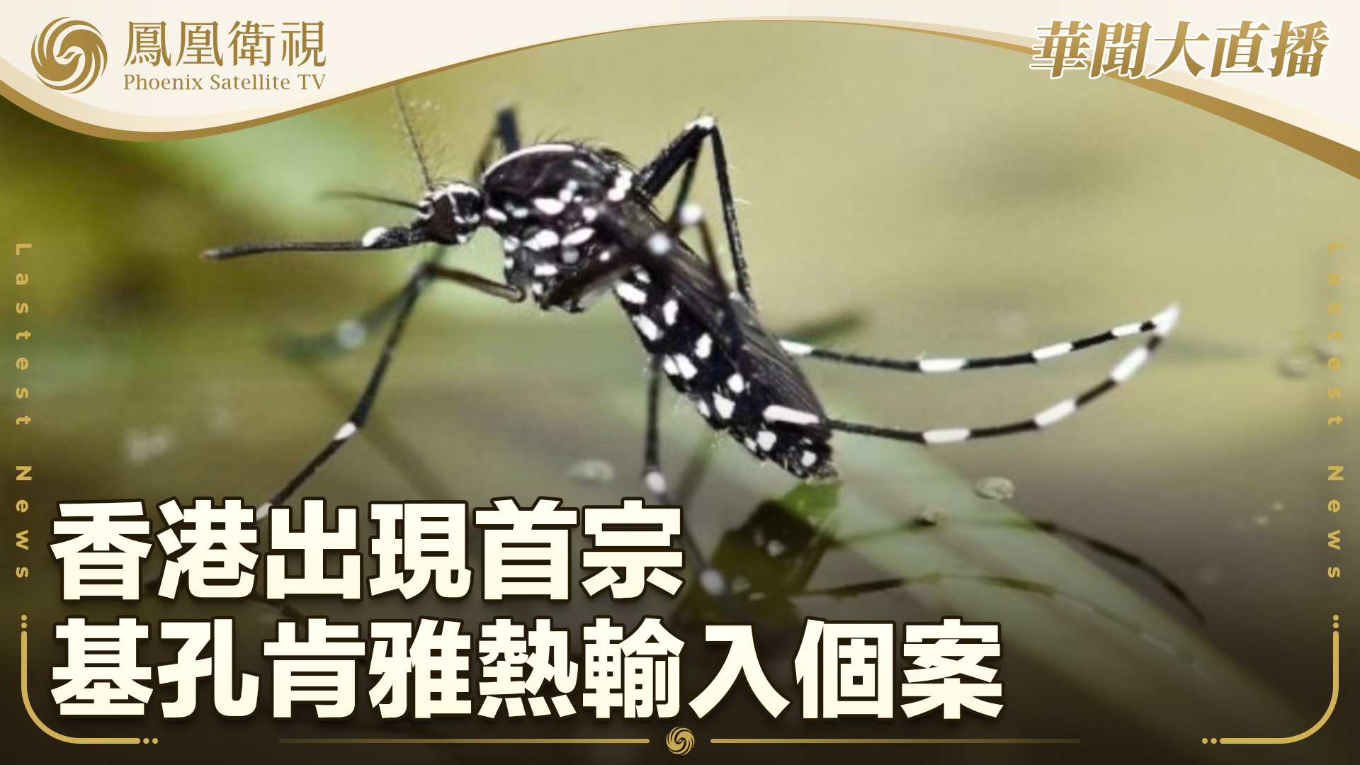 香港出现首宗基孔肯雅热输入个案