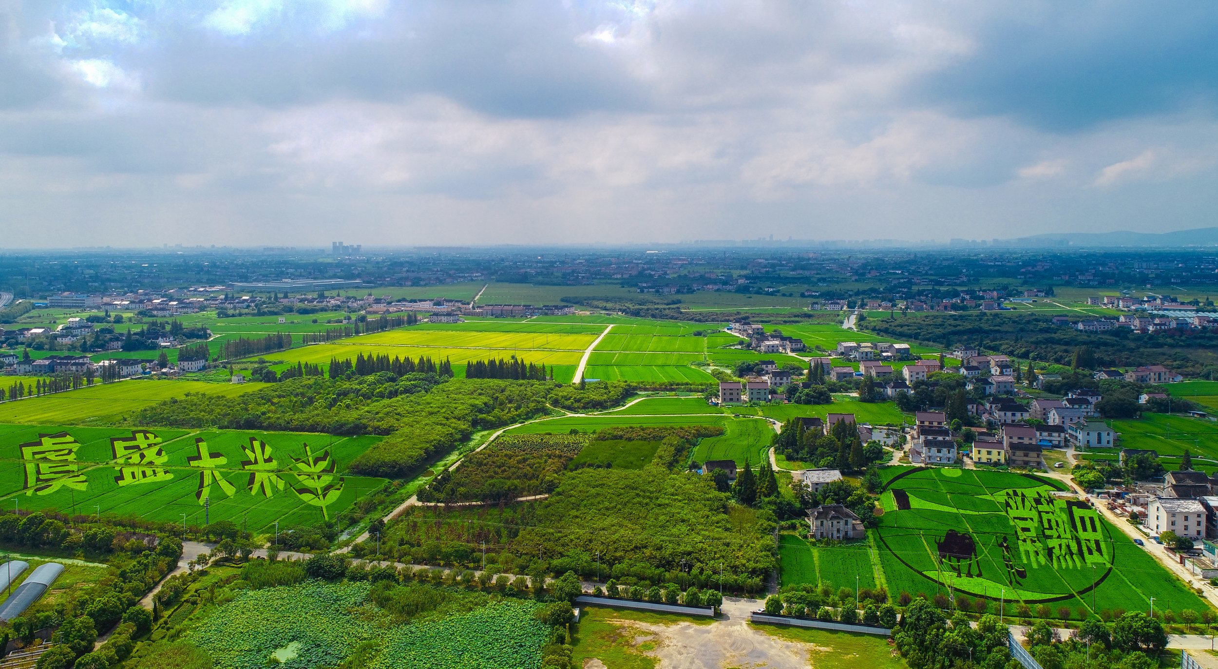 虞盛大米常熟田彩稻