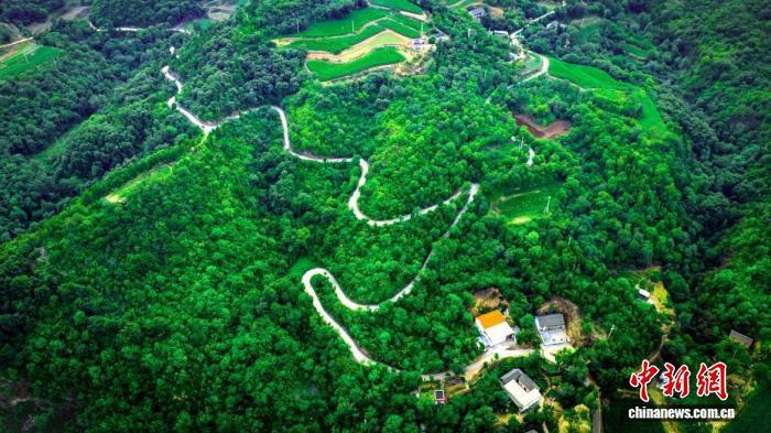 图为伏牛一号旅游公路。河南省交通运输厅供图