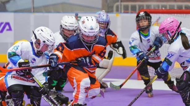 8月4日，两岸轮滑球选手在武汉轻工大学体育馆切磋球技。　(主办方供图)