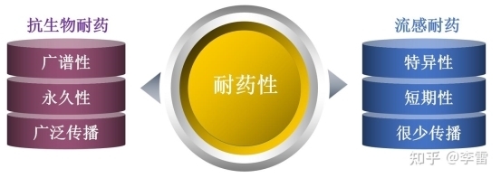 点击查看原始图片