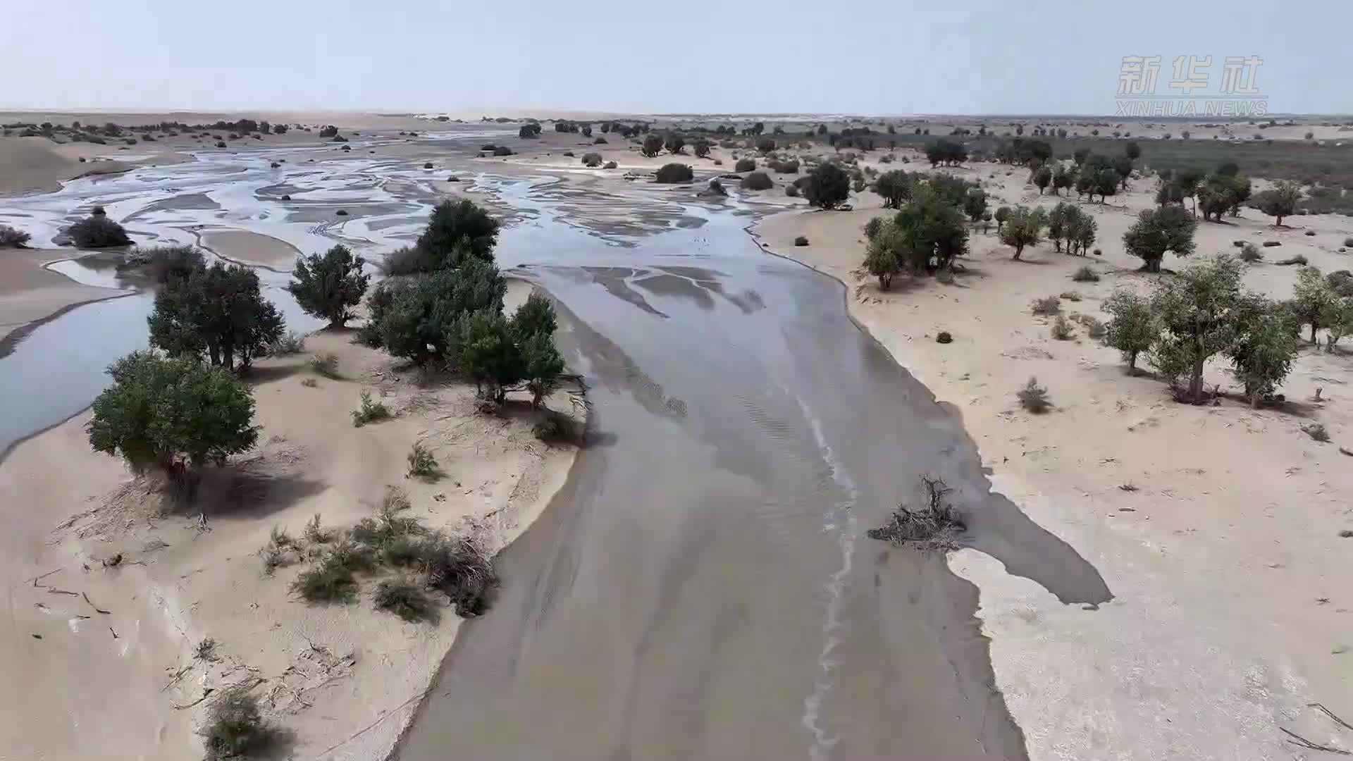 新疆于田引洪补水 守护绿洲生态
